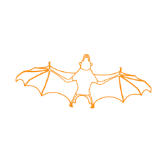 Animals Bats Hammer Headed Bat Outline Svg File, Free Vectors File
